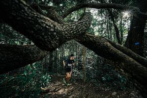 BIB: 
                            <button type="button" onclick="openModal(25663347)" class="btn btn-primary btn-sm float-right btn-popup" data-toggle="modal" data-target=".modal-high-quality">
                        <i class="fas fa-shopping-cart"></i> Add to Cart
                    </button>
                                            <button type="button" onclick="isThisMe(25663347, true)" class="btn btn-success btn-sm float-right btn-popup btn-isme hidden" data-toggle="tooltip" data-placement="bottom" title="นี่คือรูปของคุณใช่ไหม คลิกที่นี่เพื่อเอาเข้าอัลบั้ม">
                        <i class="fas fa-plus"></i> Add to album
                    </button>
                    <button type="button" onclick="isThisMe(25663347, false)" class="btn btn-warning btn-sm float-right btn-popup btn-isnotme hidden">
                        <i class="fas fa-ban"></i> Remove from album
                    </button>